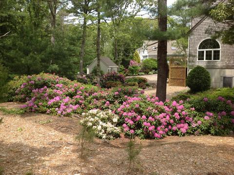 3 Pine Croft Ct, Eastham, MA 02642 photo 35