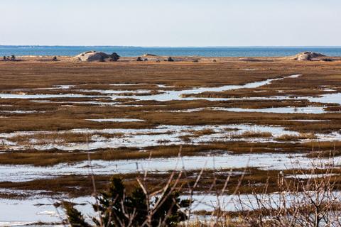 635 Herring Brook Rd, Eastham, MA 02642 photo 45