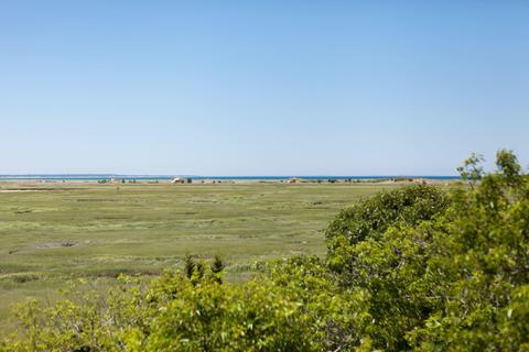 635 Herring Brook Rd, Eastham, MA 02642 photo 46