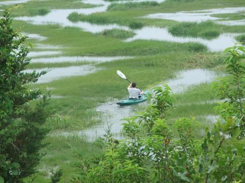 635 Herring Brook Rd, Eastham, MA 02642 photo 5