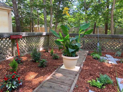 20 Aspinet Rd, Eastham, MA 02642 photo 54