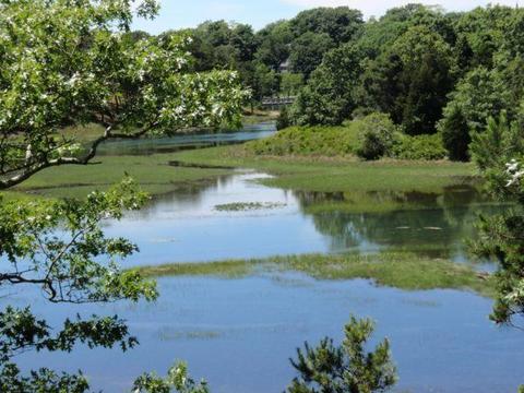 75 Pine Point Rd, Wellfleet, MA 02667 photo 44