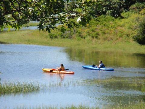 75 Pine Point Rd, Wellfleet, MA 02667 photo 43