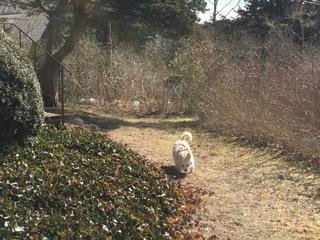 75 Pine Point Rd, Wellfleet, MA 02667 photo 35
