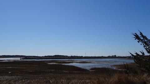 75 Pine Point Rd, Wellfleet, MA 02667 photo 3