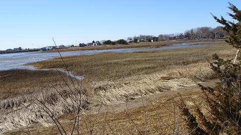 75 Pine Point Rd, Wellfleet, MA 02667 photo 8