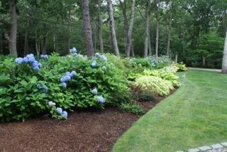 59 Paddock Way, New Seabury, MA 02649 photo 30