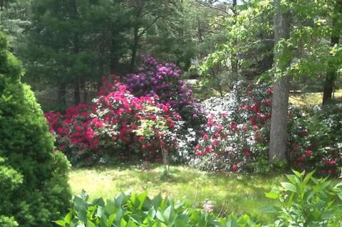 39 Mashpee Rd, Cotuit, MA 02635 photo 12