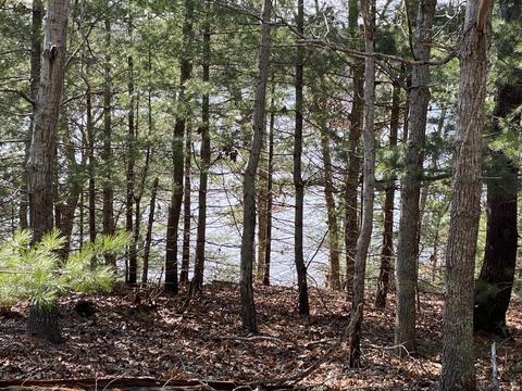116 Bay Rd, Cotuit, MA 02635 photo 6