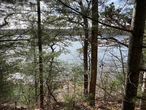 116 Bay Rd, Cotuit, MA 02635 photo 1