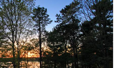 116 Bay Rd, Cotuit, MA 02635 photo 7