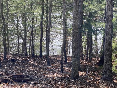 116 Bay Rd, Cotuit, MA 02635 photo 2