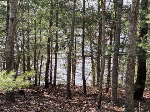 116 Bay Rd, Cotuit, MA 02635 photo 4
