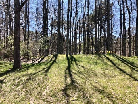 45 Clover Way, Eastham, MA 02642 photo 30