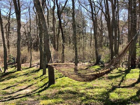 45 Clover Way, Eastham, MA 02642 photo 31