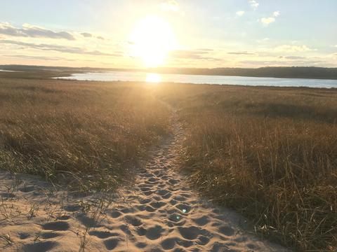 45 Clover Way, Eastham, MA 02642 photo 34