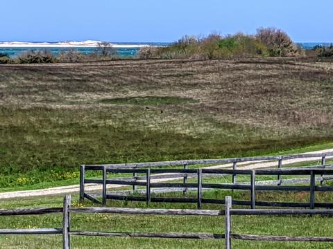 281 Commerce Rd, Barnstable, MA 02630 photo 6