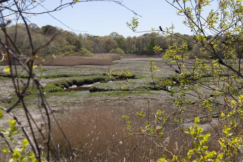 261 Commerce Rd, Barnstable, MA 02630 photo 7