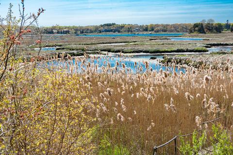 144 County Rd, Pocasset, MA 02559 photo 1