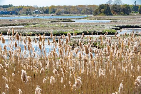 144 County Rd, Pocasset, MA 02559 photo 20