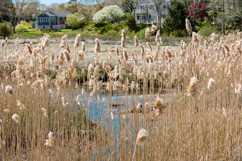144 County Rd, Pocasset, MA 02559 photo 19