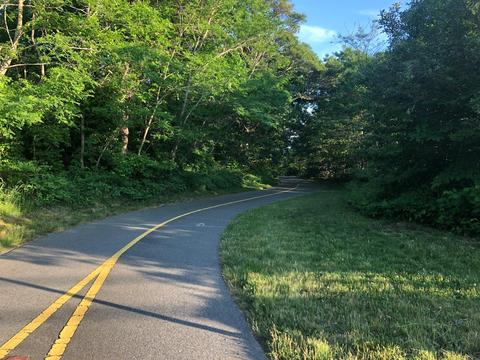 5 Kellies Path, Eastham, MA 02642 photo 40