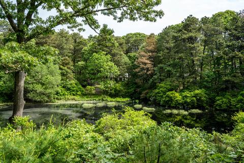 5 Kellies Path, Eastham, MA 02642 photo 26