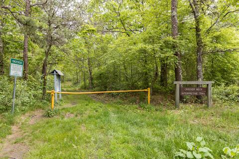 54 Crawford Rd, Cotuit, MA 02635 photo 43
