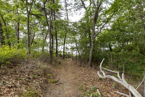 54 Crawford Rd, Cotuit, MA 02635 photo 37