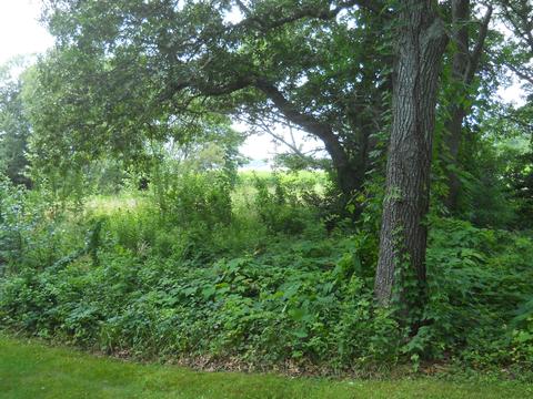 87 Eel River Rd, Osterville, MA 02655 photo 11