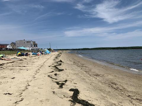 17 Barnes St, Wareham, MA 02571 photo 5