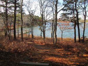 324 Clamshell Cove Rd, Cotuit, MA 02635 photo 5