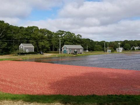 1293 Bumps River Rd, Centerville, MA 02632 photo 20