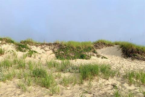 35 Sunset Ln, Eastham, MA 02642 photo 42