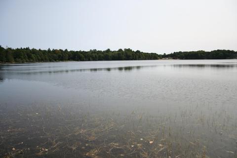 83 Nelson Ln, Marstons Mills, MA 02648 photo 31