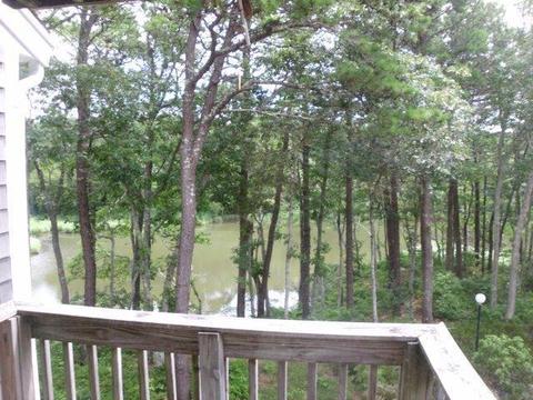 11 Riverview Ave #E, Mashpee, MA 02649 photo 12