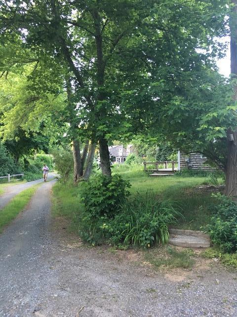 165 Samoset Rd, Eastham, MA 02642 photo 5