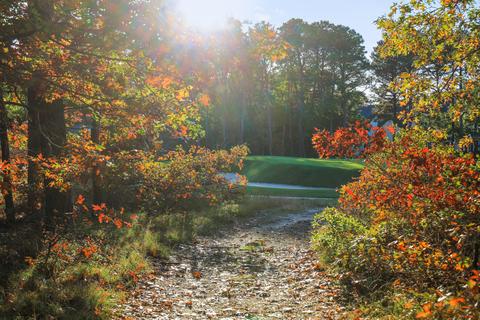 271 Pineleigh Path, Osterville, MA 02655 photo 4