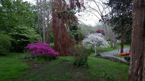 3688 Main St, Barnstable, MA 02630 photo 4