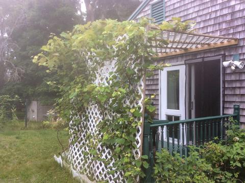 15 Pine Ln, Hyannis, MA 02601 photo 38