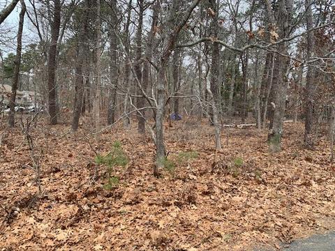 15 Fox Ln, Eastham, MA 02642 photo 2
