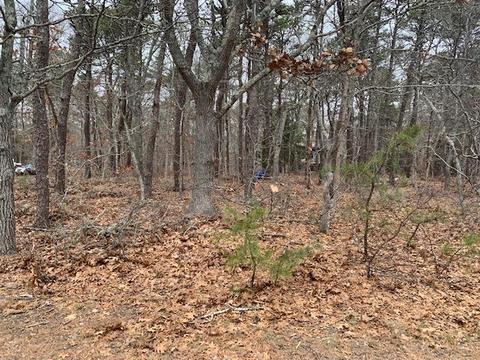 15 Fox Ln, Eastham, MA 02642 photo 3
