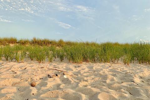 450 Oak Leaf Rd, Eastham, MA 02642 photo 53