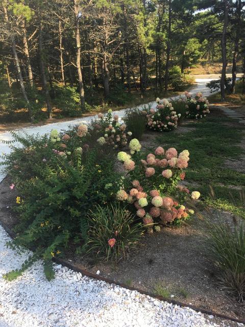 375 Hatch Rd, Eastham, MA 02642 photo 2