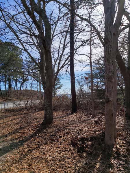 48 Captains Row, Mashpee, MA 02649 photo 2