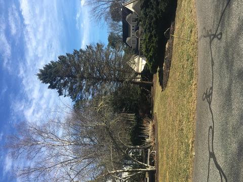 102 Gullane Rd, Mashpee, MA 02649 photo 1