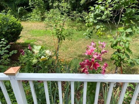 85 Main St, West Barnstable, MA 02668 photo 24