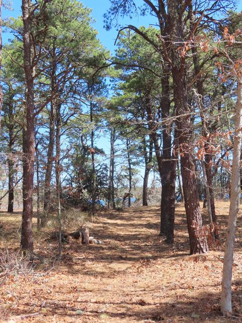 8 Clarks Point Rd, Eastham, MA 02642 photo 30