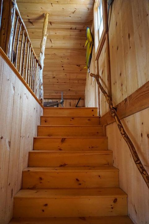 190 School St, Marstons Mills, MA 02648 photo 36