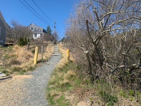 87 Massasoit Rd, Wellfleet, MA 02667 photo 12